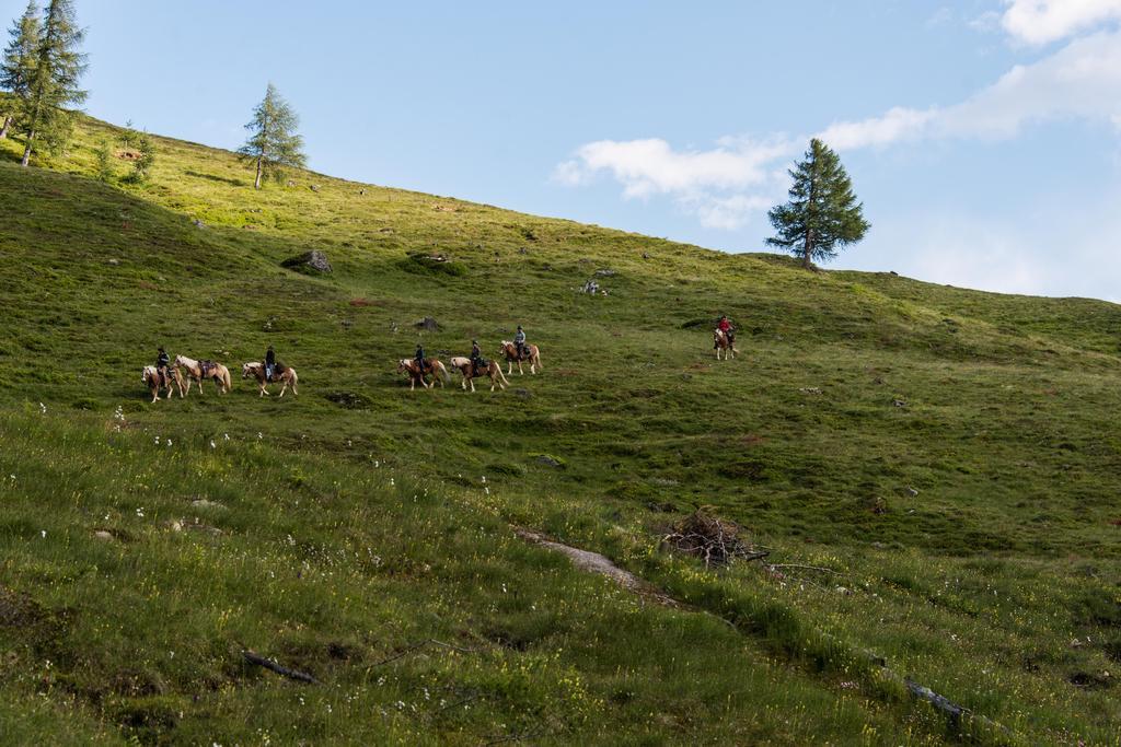 Appartementhaus Angerer - Feriendomizile Pichler Хайлигенблут Экстерьер фото